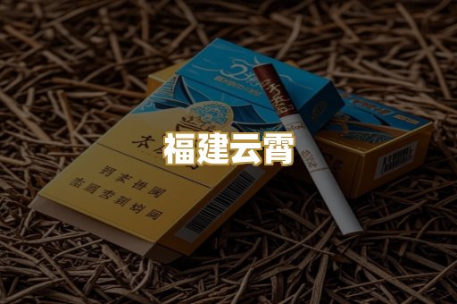 福建云霄